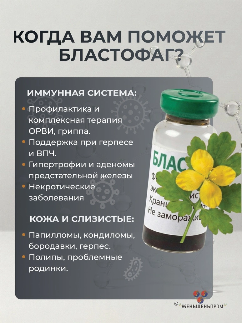 БЛАСТОФАГ (2 мл) — инъекционный — изображение 5