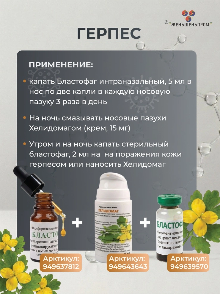 БЛАСТОФАГ (2 мл) — инъекционный — изображение 10