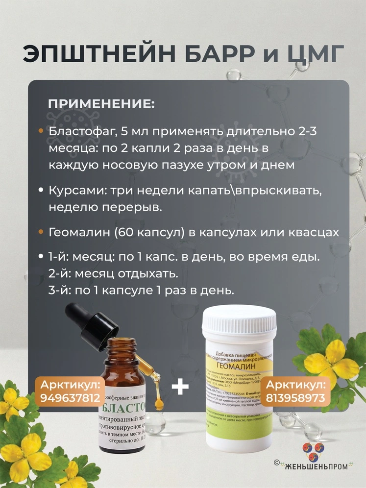 БЛАСТОФАГ (2 мл) — инъекционный — изображение 11