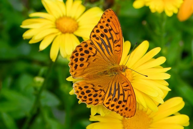 Система «ВИВАТОН»: Ваша личная программа омоложения и оздоровления на клеточном уровне